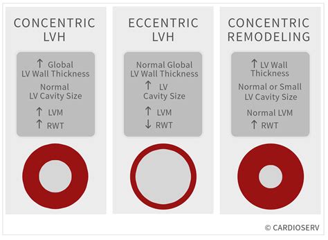 concentric lv hypertrophy|concentric vs eccentric lvh.